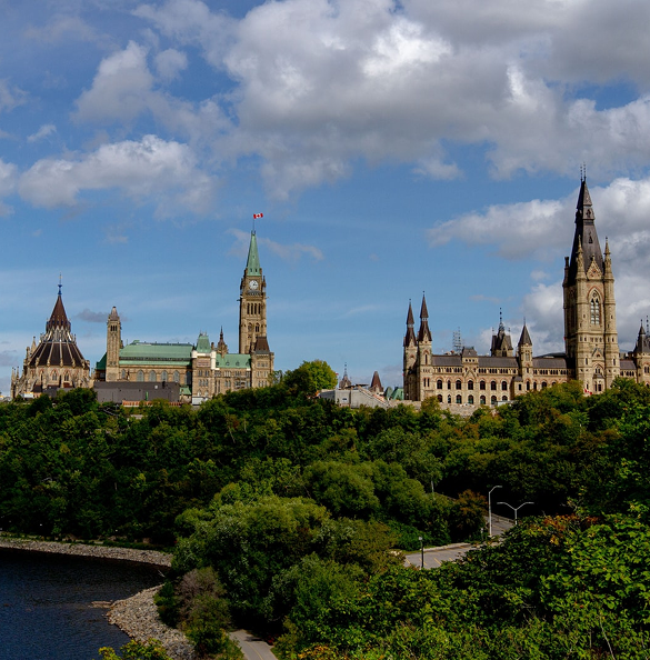 A photo of the parliament building behind some trees
